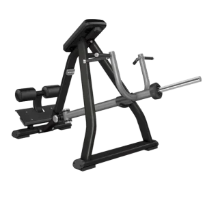 Discovery Lever Bent Over Rower DPL0311 (Neuf)